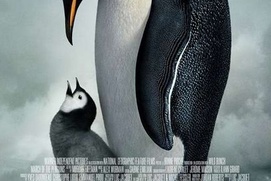 Affiche du film March of the Penguins Affiche du film March of the Penguins