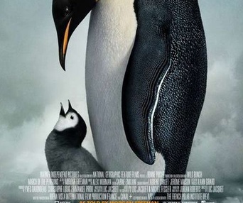 Affiche du film March of the Penguins