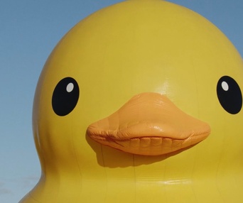 Une scène du film Canards errants