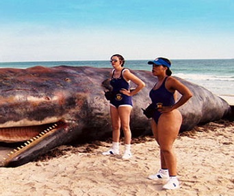 Scène du film Escouade Reno 911 à Miami