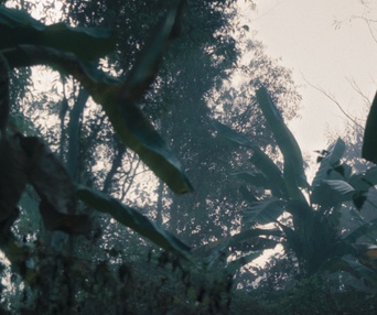 Une scène du film L'île de Sukwan