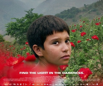 Affiche du film Prayers for the Stolen