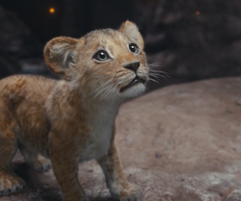 Une scène du film Mufasa: The Lion King