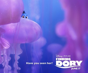 Affiche du film Finding Dory