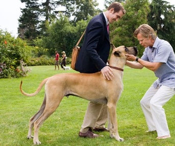 Une scène du film Marmaduke