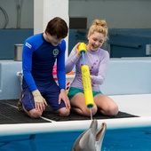 Une scène du film <em>Dolphin Tale 2</em>