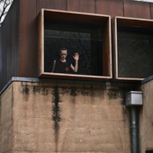 Image du film <em>Bring Her Back</em>