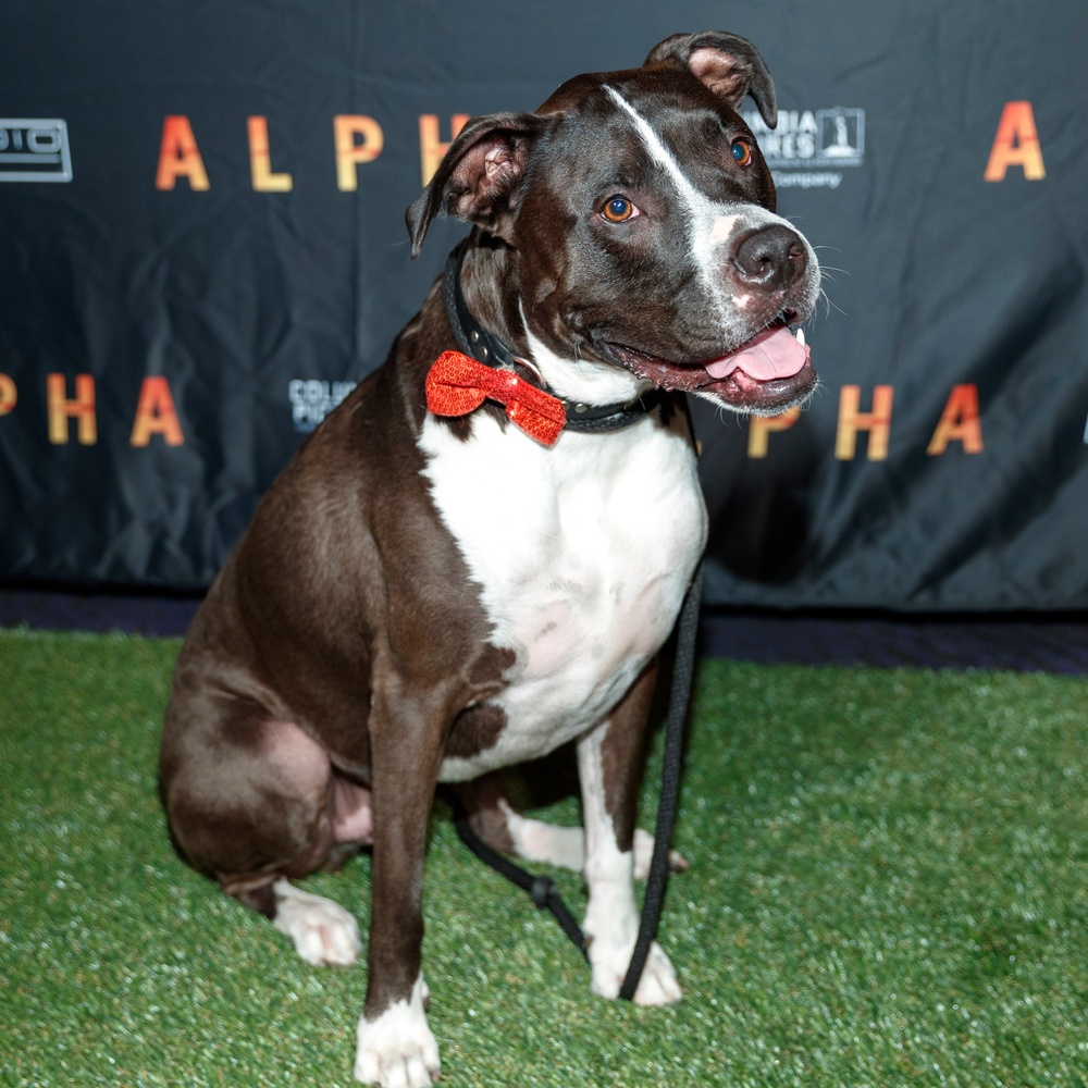 Première du film Alpha à Los Angeles