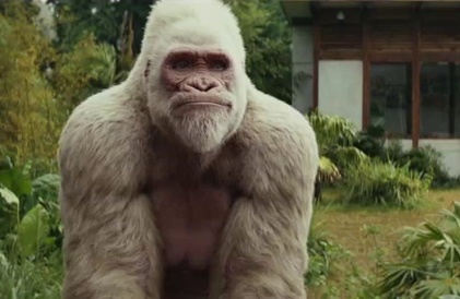 Bande-annonce en anglais