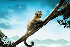 Affiche du film Amazonia