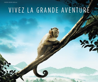 Affiche du film Amazonia