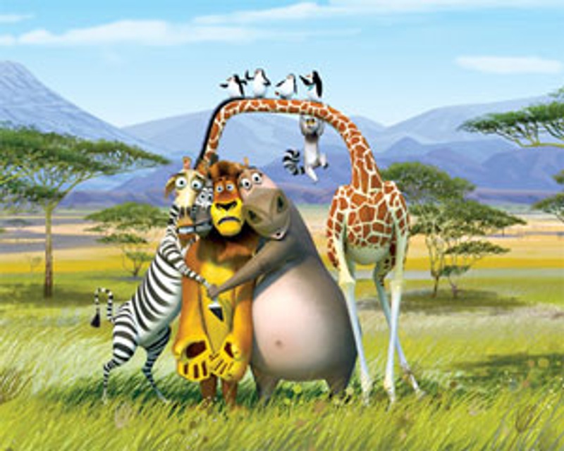 Une scène du film d'animation Madagascar 2 : La grande évasion