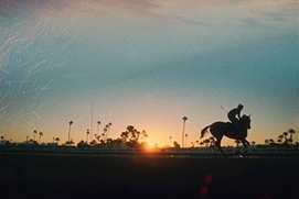 Affiche du film Jockey