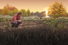 Affiche du film Humus