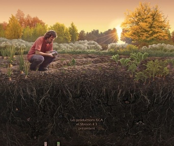 Affiche du film Humus