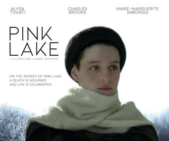 Affiche du film Pink Lake
