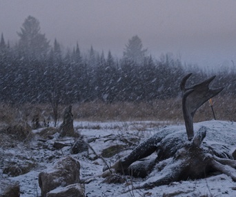 Image du film Festin boréal