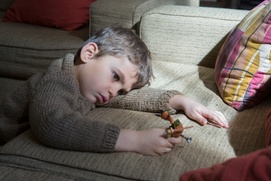 Image du film La vraie famille
