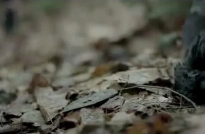 Bande-annonce en anglais