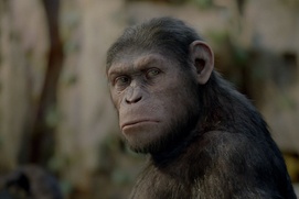 Une scène du film Rise of the Planet of the Apes