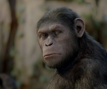 Une scène du film Rise of the Planet of the Apes