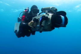 Scène du film Sharkwater