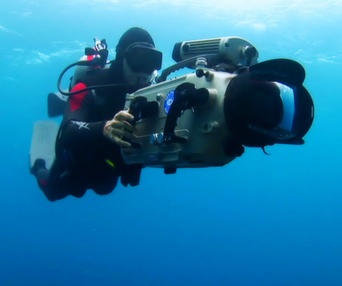 Scène du film Sharkwater