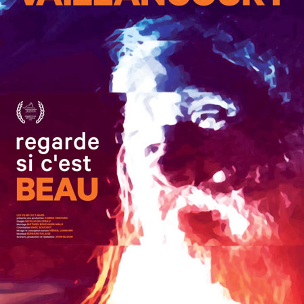 Affiche du film Vaillancourt, regarde si c'est beau