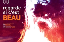Affiche du film Vaillancourt, regarde si c'est beau