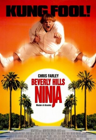 Affiche du film Beverly Hills Ninja