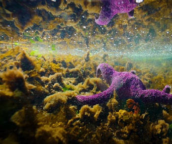 Une scène du film L'océan vu du coeur