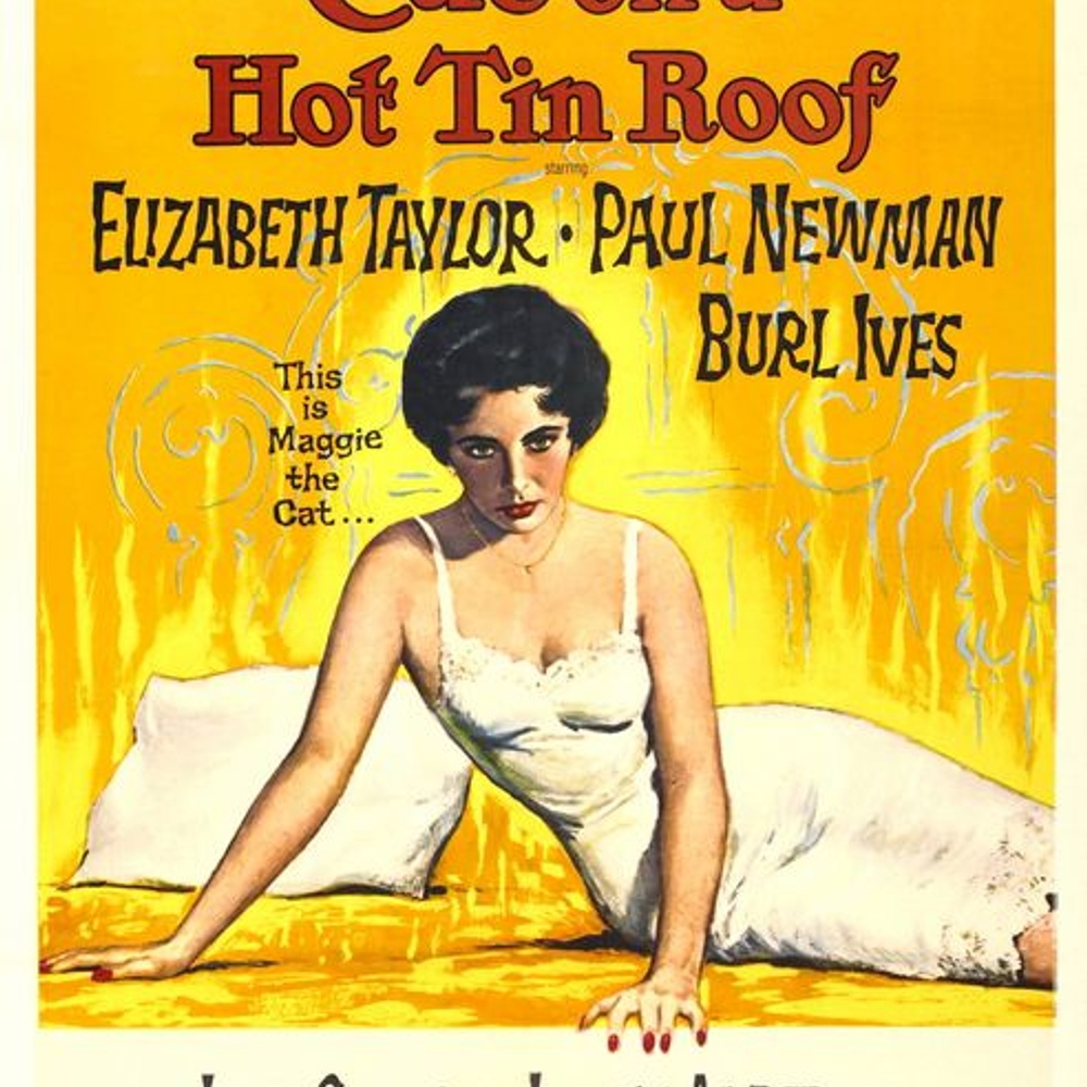 Affiche du film Cat on a Hot Tin Roof