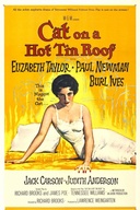 Affiche du film Cat on a Hot Tin Roof