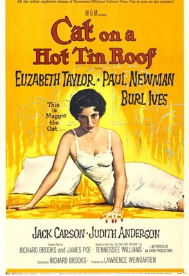 Cat on a Hot Tin Roof