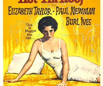 Affiche du film Cat on a Hot Tin Roof