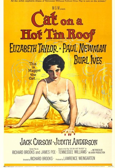Affiche du film Cat on a Hot Tin Roof