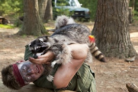 Une scène du film Furry Vengeance Une scène du film Furry Vengeance
