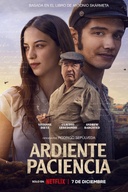 Affiche du film Une ardente patience