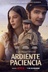 Affiche du film Une ardente patience
