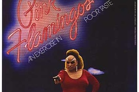 Affiche du film Pink Flamingos