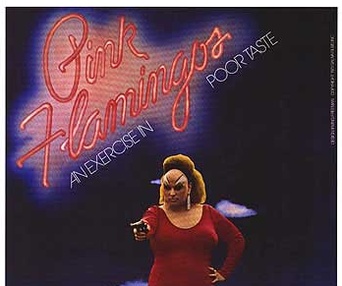 Affiche du film Pink Flamingos