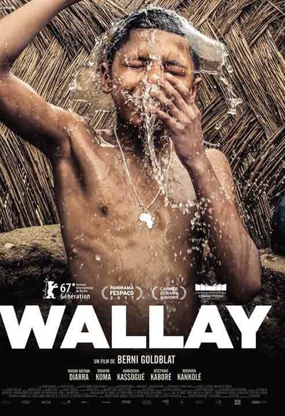 Affiche du film Wallay
