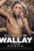 Affiche du film Wallay