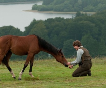 Une scène du film War Horse