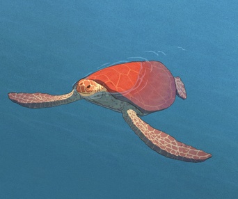Une scène du film La tortue rouge