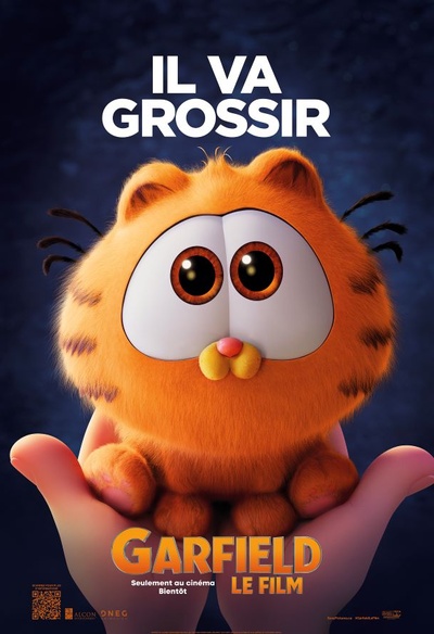 Affiche du film THe Garfield Movie