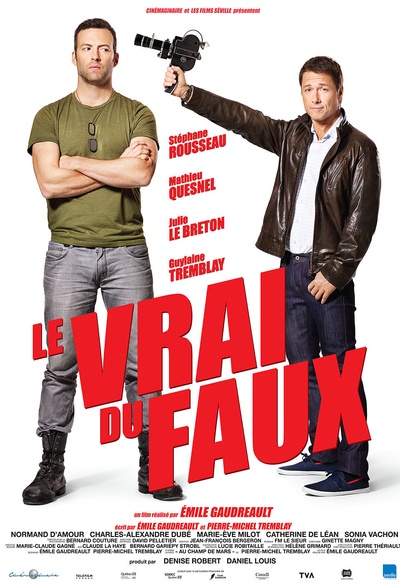 Affiche du film Le vrai du faux