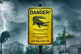 Affiche du film Crawl Affiche du film Crawl