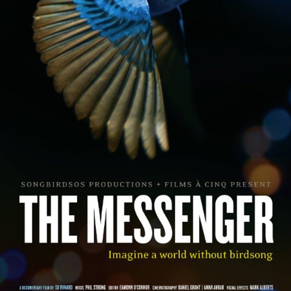 Affiche du film The Messenger