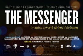 Affiche du film The Messenger